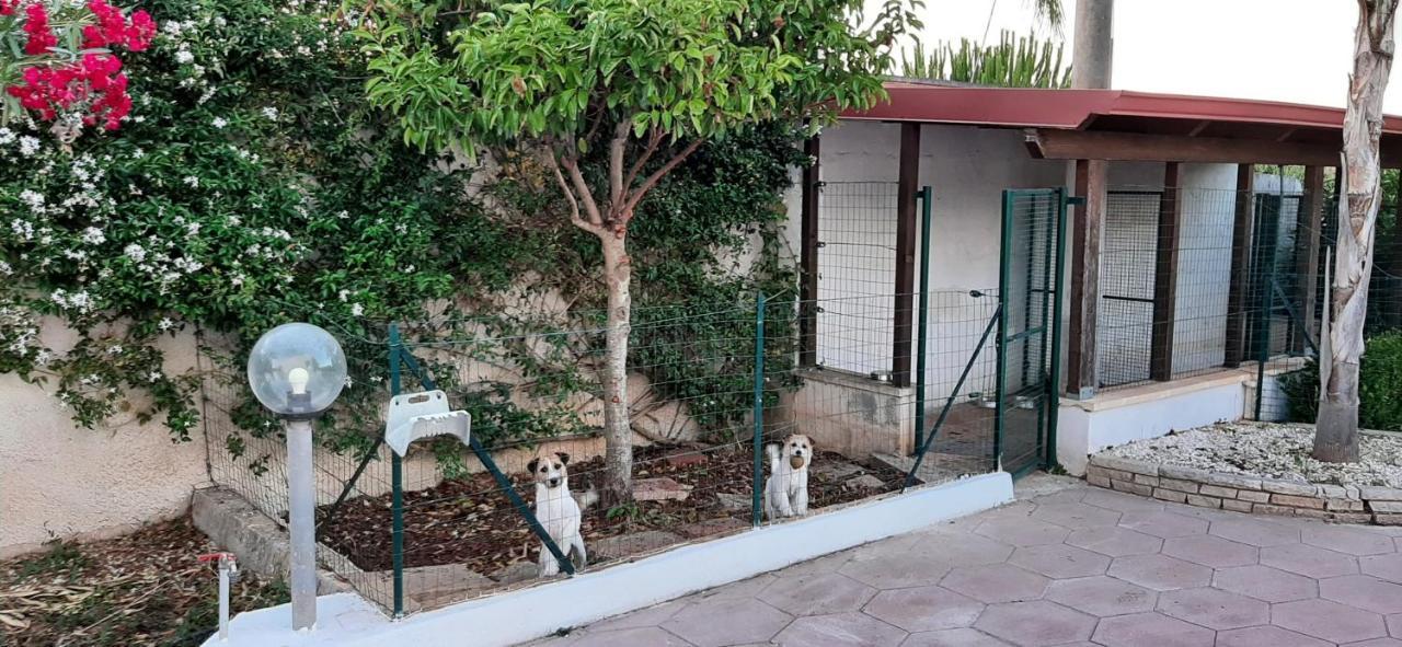 הוילה גלטונה Casa Coppola מראה חיצוני תמונה